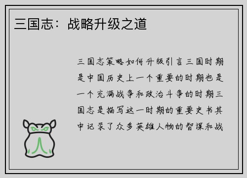 三国志：战略升级之道