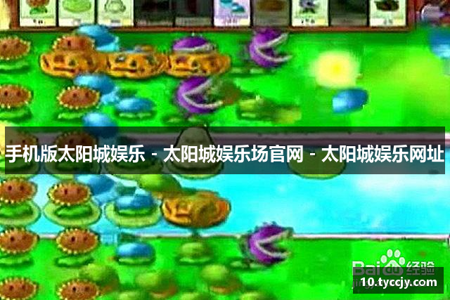 手机版太阳城娱乐 - 太阳城娱乐场官网 - 太阳城娱乐网址